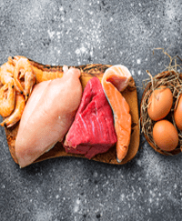Animal Products, Fish and Animal Protein
