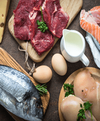 Animal Products, Fish and Animal Protein