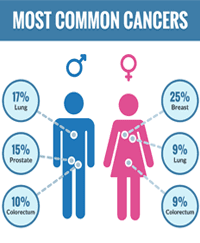 Cancer Rates and Statistics