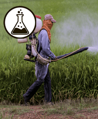 Chemicals Pesticides pharmaceutical drugs in our food and drinking water