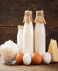 Dairy Products and Eggs