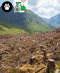 Eating Animal Products and Modern Farming's Impact on Deforestation