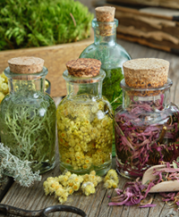 Herbal Medicine and Herbs