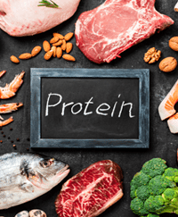 Low-Carb, Keto, and Paleo Diets, and High Animal Protein Diets