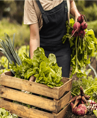 Organic Food Industry and Sustainable Farming