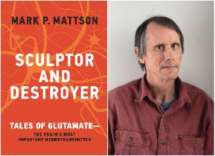 mark mattson joined 2
